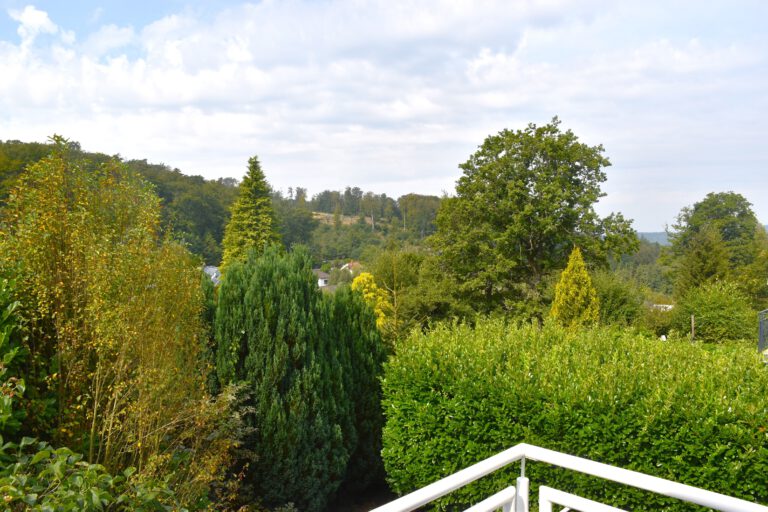 Blick vom Balkon